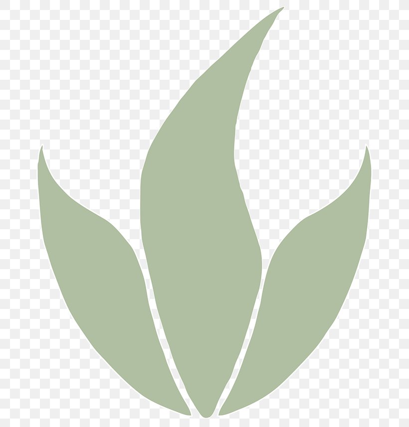 Petal Green, PNG, 700x857px, Petal, Flower, Green, Leaf, Plant Download Free