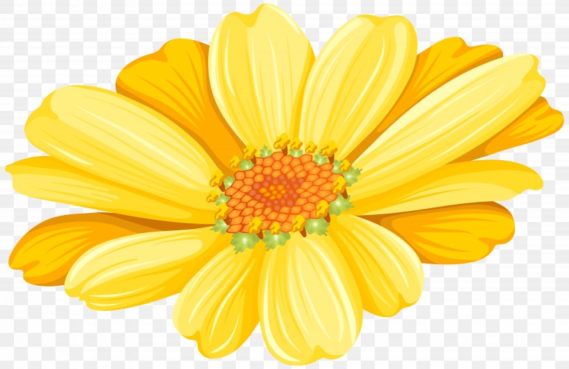 Transvaal Daisy Chrysanthemum Argyranthemum Frutescens Floristry Common Sunflower, PNG, 8000x5199px, Yellow, Chrysanthemum, Chrysanths, Common Daisy, Cut Flowers Download Free