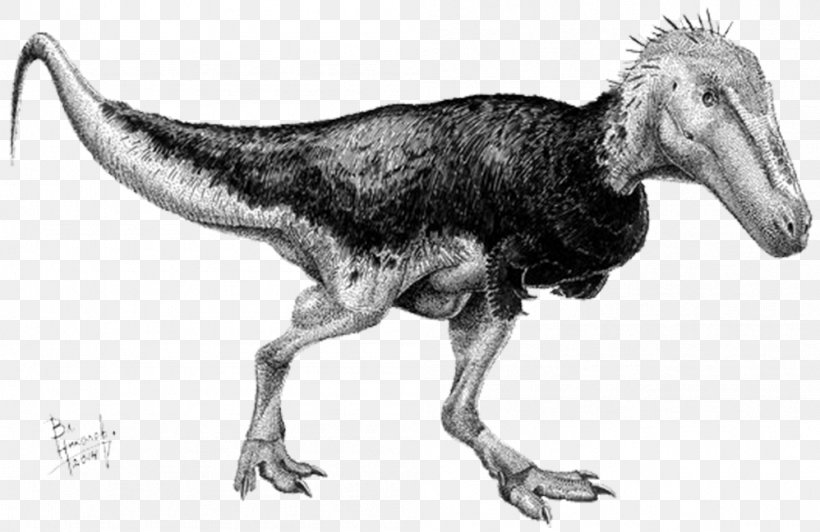 Tyrannosaurus Alioramus Teratophoneus Nanotyrannus Dinosaur, PNG, 998x648px, Tyrannosaurus, Alioramus, Animal, Art, Beak Download Free