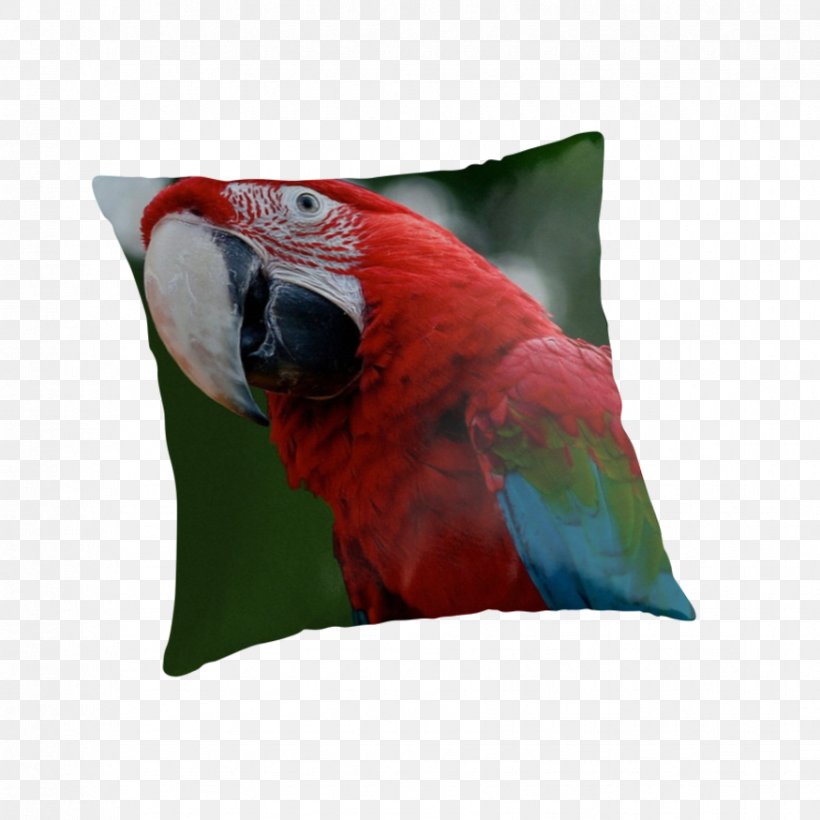 Cushion Throw Pillows Down Feather Couch, PNG, 875x875px, Cushion, Beak, Bed, Bed Sheets, Bird Download Free