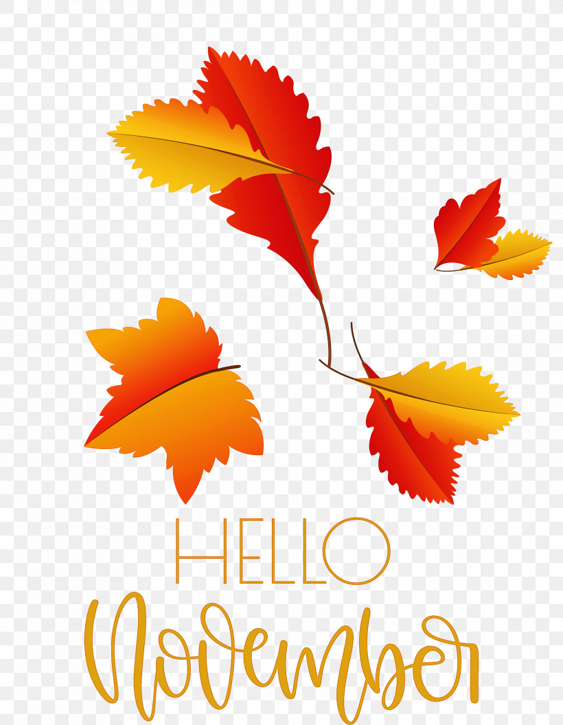 Hello November November, PNG, 2328x3000px, Hello November, Biology, Flower, Geometry, Leaf Download Free