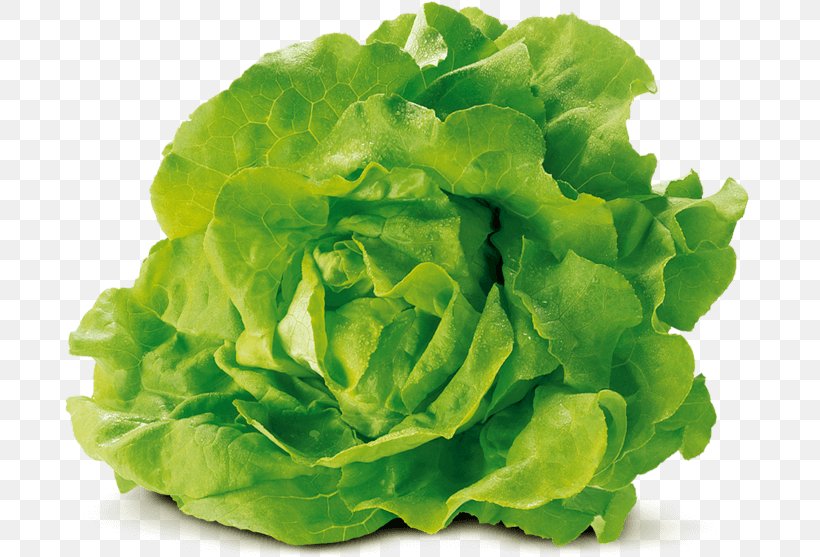 Leaf Vegetable Romaine Lettuce Food Red Leaf Lettuce, PNG, 800x557px, Vegetable, Butterhead Lettuce, Cabbage, Corn Salad, Cruciferous Vegetables Download Free