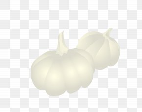 Garlic Vector - Lighting Fruit Wallpaper PNG