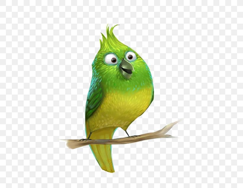 Parrot Bird Parakeet Cartoon, PNG, 564x636px, Parrot, Beak, Bird, Cartoon, Common Pet Parakeet Download Free