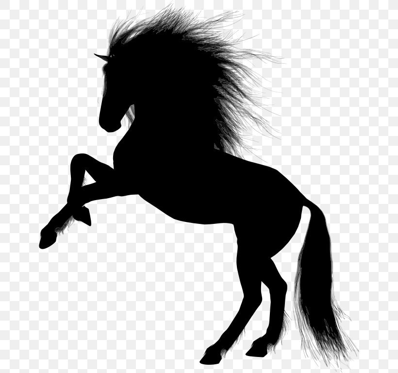 Pony Mustang Clip Art, PNG, 660x768px, Pony, Black And White, Colt, Equestrian, Fictional Character Download Free
