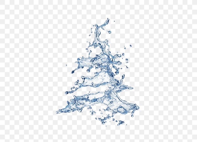 Christmas Tree Water Stock Photography, PNG, 591x591px, Christmas Tree, Blue, Branch, Christmas Decoration, Christmas Lights Download Free