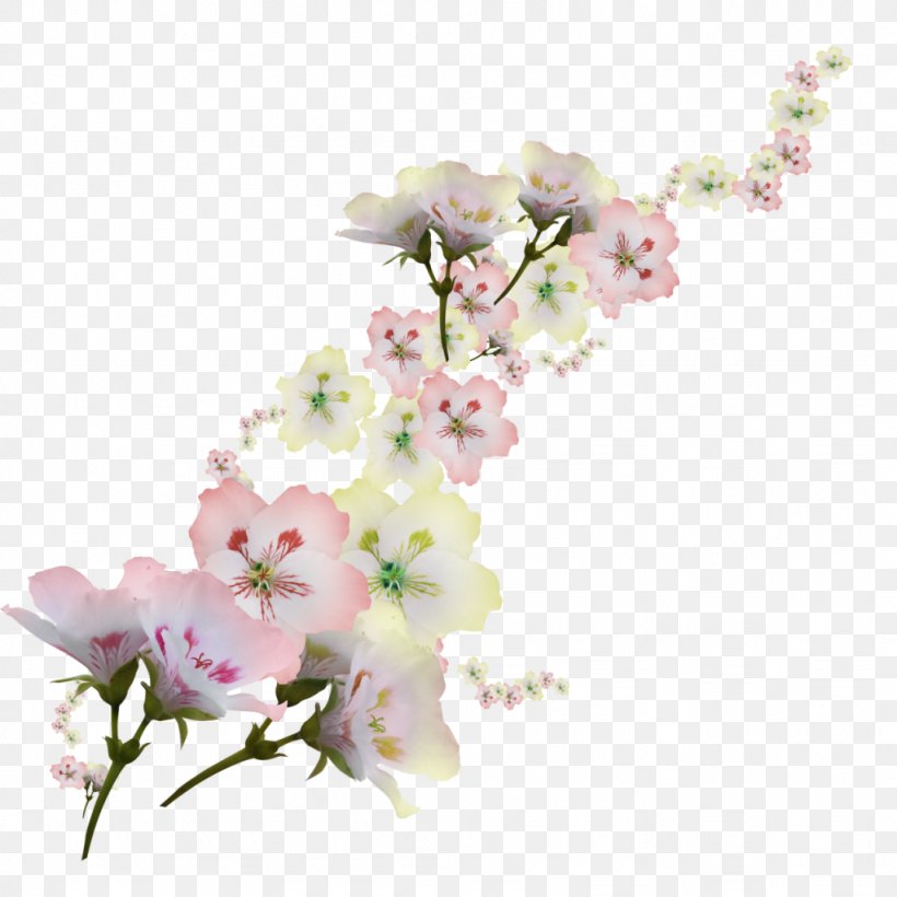 Clip Art, PNG, 1024x1024px, Flower, Blossom, Branch, Cherry Blossom, Cut Flowers Download Free
