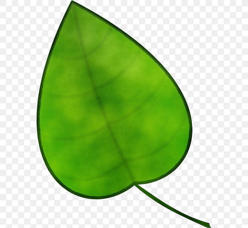 Green Leaf Watercolor, PNG, 579x752px, Watercolor, Drawing, Green, Leaf, Paint Download Free