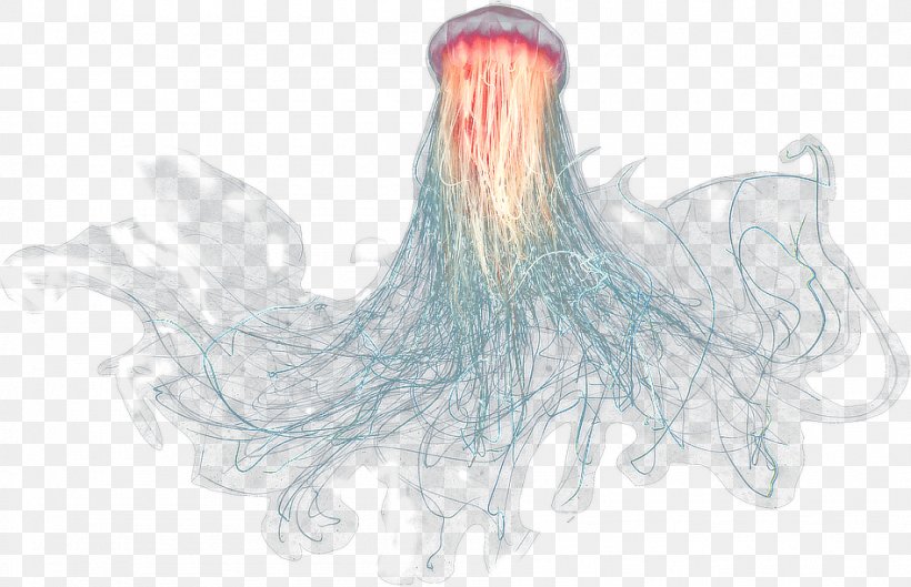 Jellyfish Sea Transparency And Translucency Gelatin Dessert, PNG, 947x611px, Jellyfish, Animal, Chart, Deep Sea, Gelatin Dessert Download Free