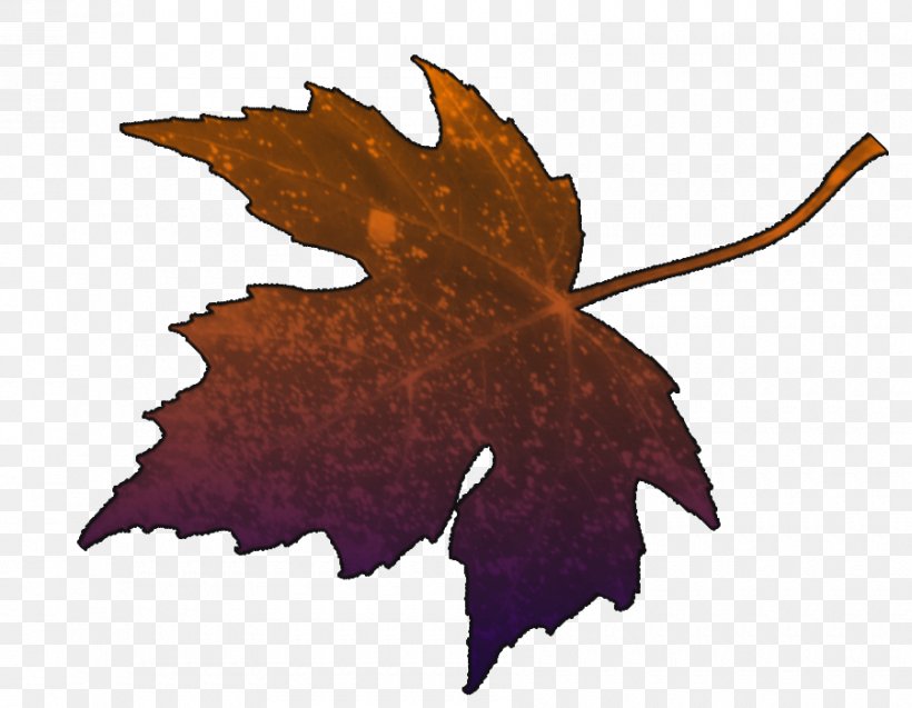 Maple Leaf, PNG, 900x700px, Maple Leaf, Leaf, Maple, Plant, Tree Download Free
