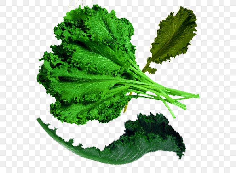 Spring Greens Cabbage Organic Food Kale, PNG, 600x600px, Spring Greens, Brassica Oleracea, Cabbage, Chinese Cabbage, Collard Greens Download Free