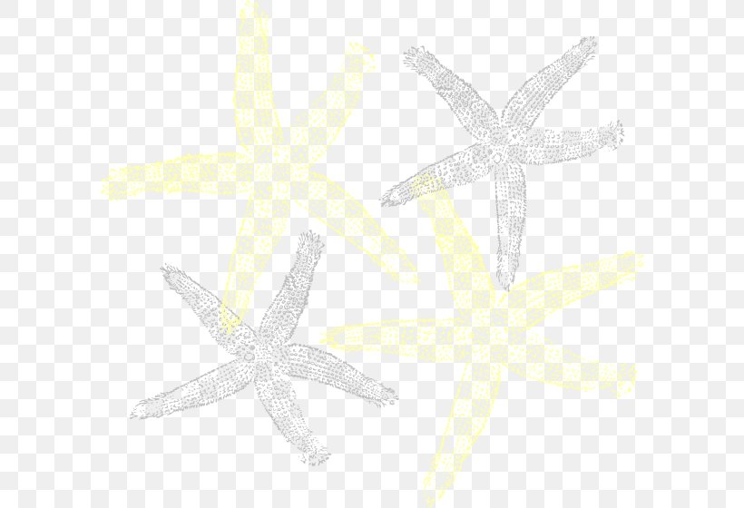Starfish Clip Art, PNG, 600x560px, Starfish, Echinoderm, Invertebrate, Marine Invertebrates, Yellow Download Free