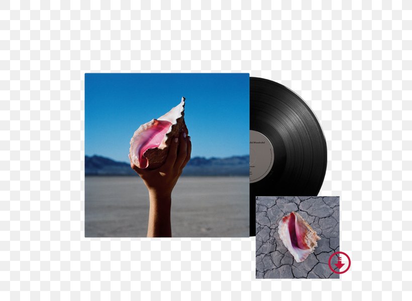 The Killers Wonderful Wonderful LP Record Hot Fuss Phonograph Record, PNG, 600x600px, Watercolor, Cartoon, Flower, Frame, Heart Download Free