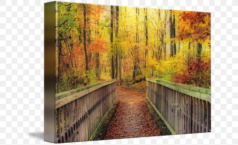 Wood Painting Gallery Wrap Nature Canvas, PNG, 650x502px, Wood, Art, Autumn, Bridge, Canvas Download Free