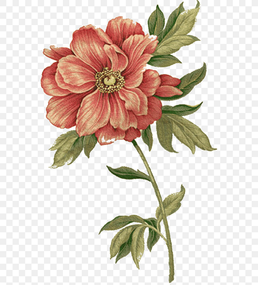 Artificial Flower, PNG, 561x908px, Drawing Flower, Artificial Flower, Chinese Peony, Common Peony, Cut Flowers Download Free