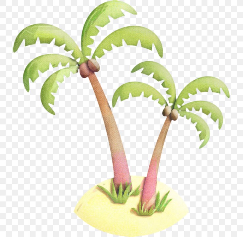 Coconut Tree Drawing, PNG, 734x800px, Leaf, Arecales, Coconut, Drawing, Flower Download Free
