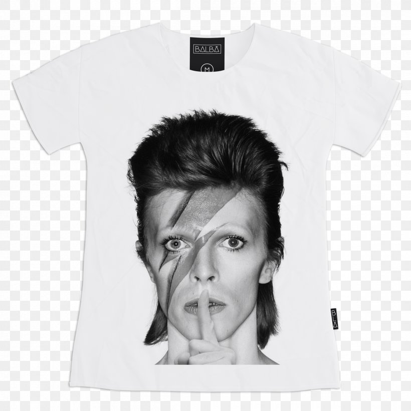 David Bowie Aladdin Sane Tour The Rise And Fall Of Ziggy Stardust And The Spiders From Mars Album, PNG, 2400x2400px, Watercolor, Cartoon, Flower, Frame, Heart Download Free
