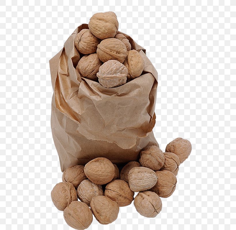 Eastern Black Walnut Pine Nut Acorn, PNG, 616x800px, Eastern Black Walnut, Acorn, Almond, Dried Fruit, Food Download Free