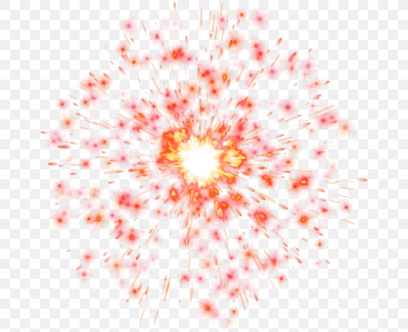 Explosion Fire, PNG, 658x667px, Explosion, Computer Animation, Fire, Flower, Flowering Plant Download Free