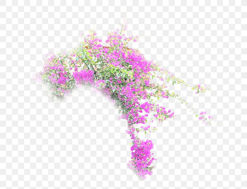 Flower Desktop Wallpaper .net Petal, PNG, 800x627px, Flower, Branch, Com, Drawing, Flora Download Free