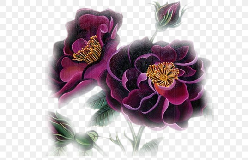 Flower Image Design Adobe Photoshop, PNG, 600x528px, Flower, Actor, Anemone, Art, Botany Download Free