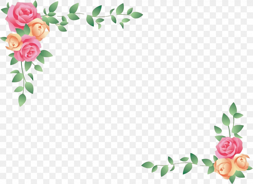 Garden Roses, PNG, 1920x1396px, Garden Roses, Anniversary, Birthday, Candy, Chocolate Download Free