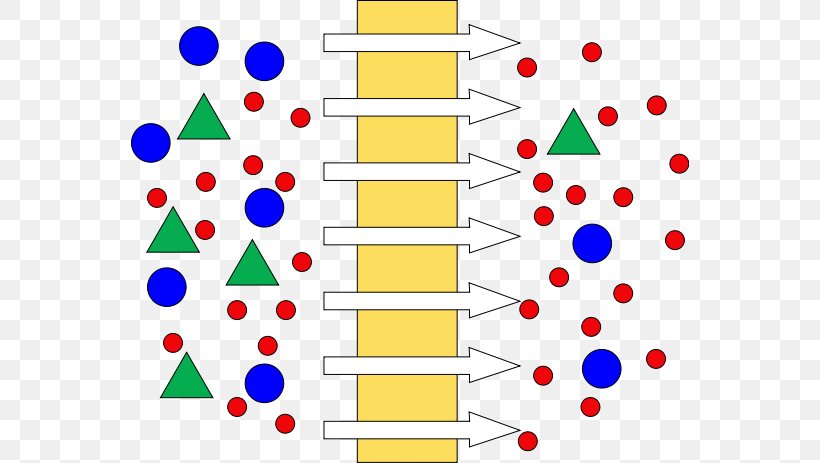 Membrane Technology Ultrafiltration Dead-End-Filtration Reverse Osmosis, PNG, 558x463px, Membrane Technology, Area, Crossflow Filtration, Diagram, Filtration Download Free