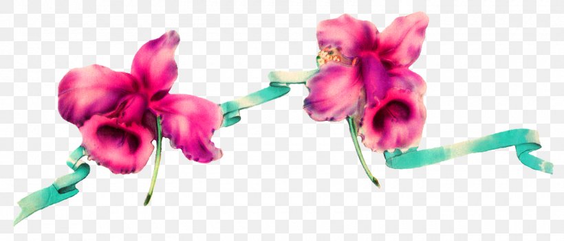 Paper Flower Ribbon, PNG, 1600x686px, Paper, Antique, Cut Flowers, Flora, Floral Design Download Free