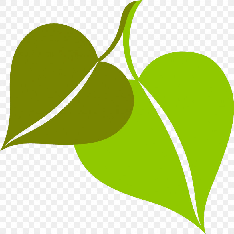 Plant Stem Leaf Green Line Meter, PNG, 976x978px, Plant Stem, Biology, Fruit, Green, Leaf Download Free