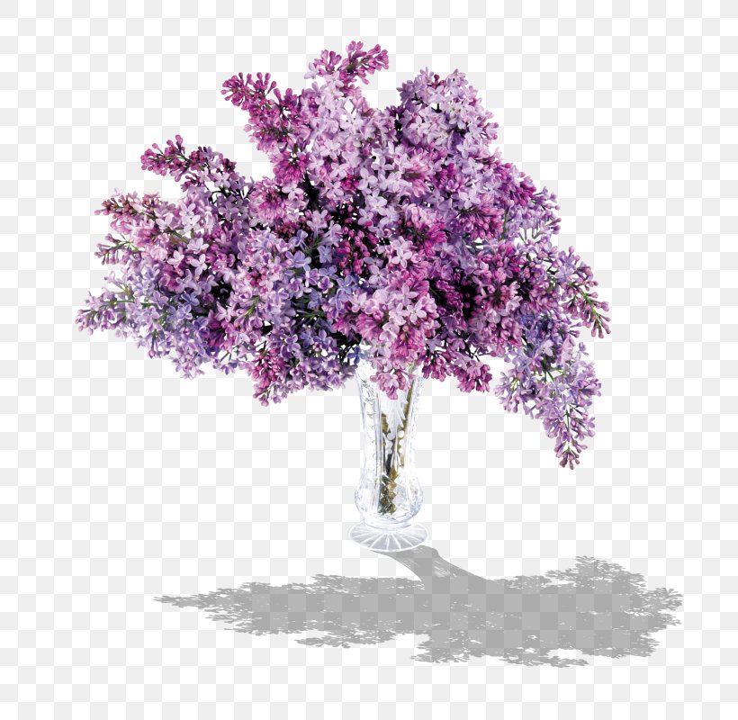 Lilac Flower Purple Clip Art, PNG, 799x800px, Lilac, Blossom, Branch, Cherry Blossom, Flower Download Free