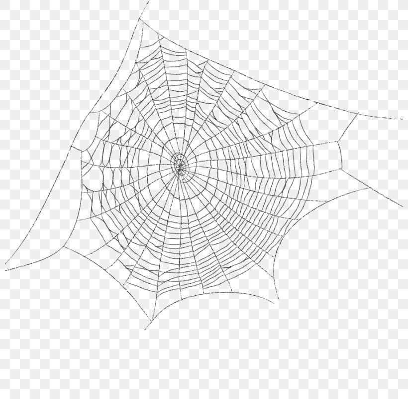 Spider Web Clip Art, PNG, 800x800px, Spider Web, Arachnid, Area, Black And White, Drawing Download Free
