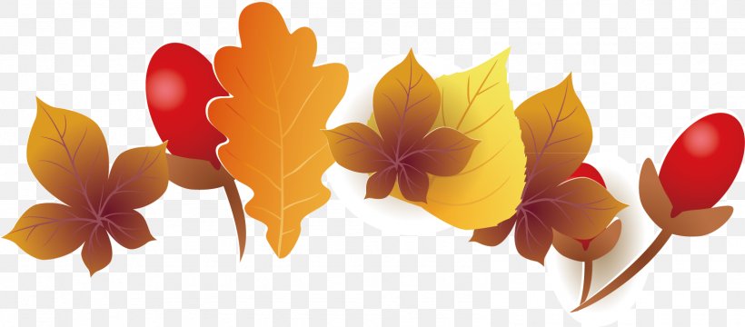 Floral Design Maple Leaf, PNG, 1589x699px, Floral Design, Architecture, Designer, Floristry, Flower Download Free