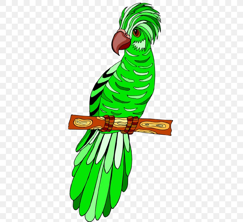 Macaw Beak Parakeet Feather Clip Art, PNG, 360x750px, Macaw, Animal, Animal Figure, Art, Artwork Download Free