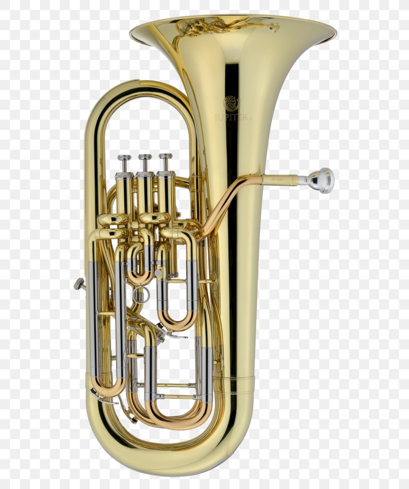 Saxhorn Euphonium Tuba Cornet Brass Instrument Valve, PNG, 600x980px, Saxhorn, Alto Horn, Baritone Horn, Baritone Saxophone, Besson Download Free
