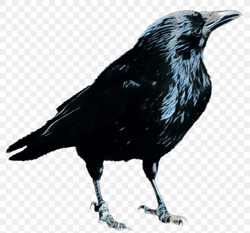 Crow Clip Art Common Raven Image, PNG, 840x785px, Crow, American Crow, Beak, Bird, Blackbird Download Free