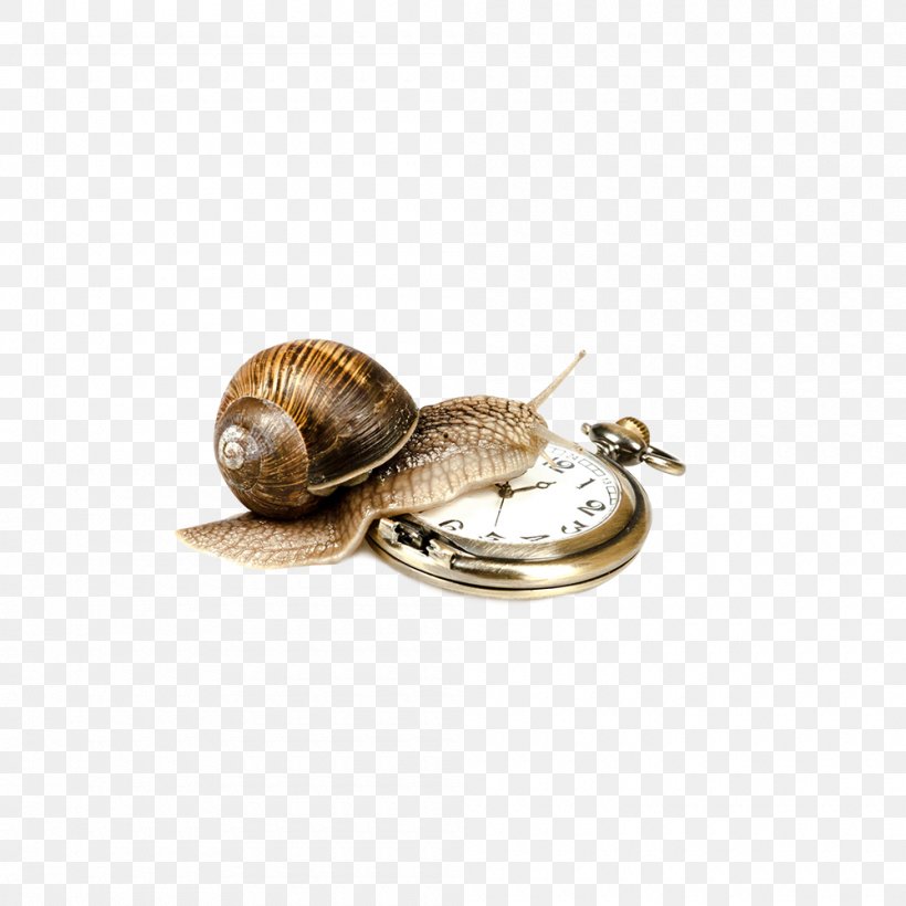 Escargot Stock Photography Royalty-free, PNG, 1000x1000px, Escargot, Caracol, Clock, Jewellery, Metal Download Free