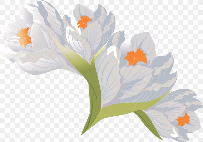 Flower Crocus PhotoScape, PNG, 1280x902px, Flower, Colchicum Autumnale, Crocus, Flowering Plant, Gimp Download Free