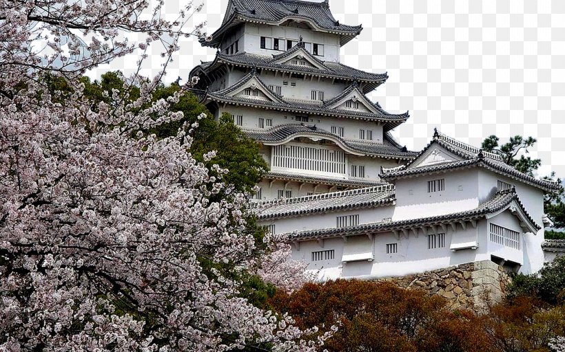 Osaka Castle Cherry Blossom Tourism, PNG, 1920x1200px, Osaka Castle, Building, Castle, Cherry Blossom, Chinese Architecture Download Free