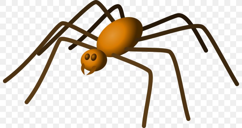 Brown Recluse Spider Clip Art, PNG, 800x435px, Spider, Arachnid, Arthropod, Brown Recluse Spider, Hobo Spider Download Free