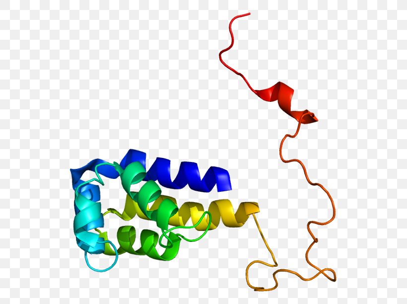 Fas Receptor Tumor Necrosis Factor Superfamily Protein CFLAR, PNG, 587x612px, Fas Receptor, Antigen, Apoptosis, Area, Artwork Download Free