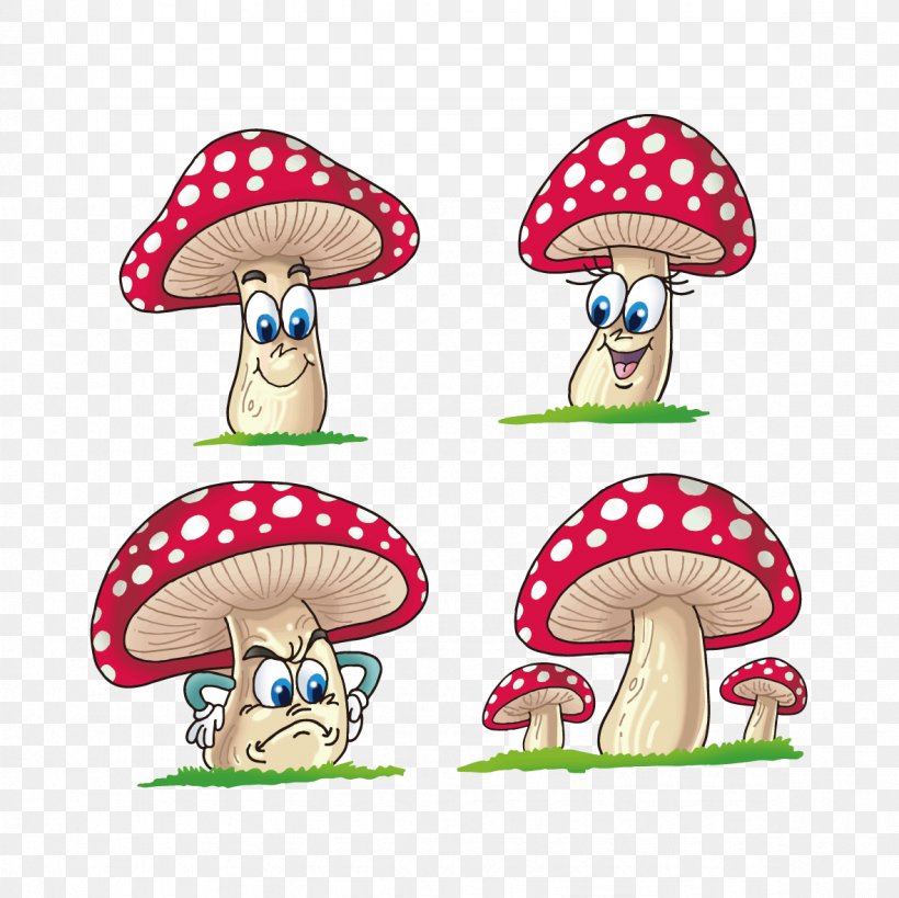 Mushroom Drawing Fungus, PNG, 1181x1181px, Mushroom, Common Mushroom, Drawing, Fashion Accessory, Fungus Download Free