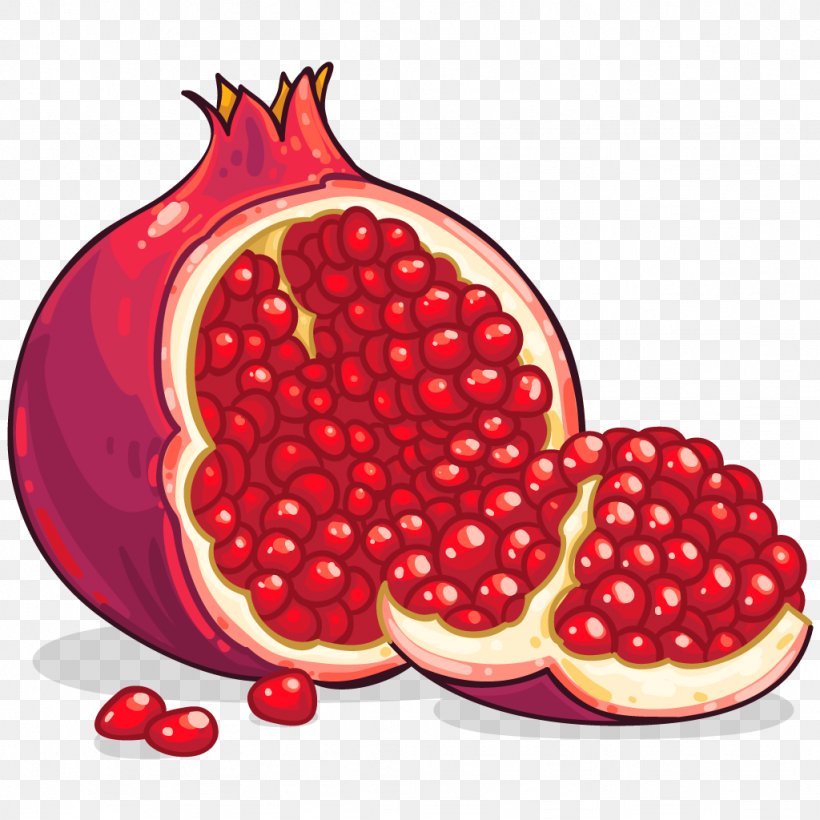Pomegranate Clip Art, PNG, 1024x1024px, Pomegranate, Berry, Cranberry, Drawing, Food Download Free