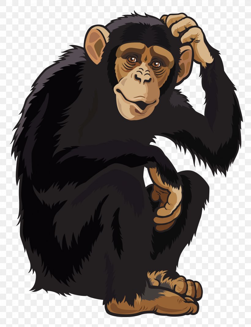 Chimpanzee Ape Monkey Clip Art, PNG, 2044x2665px, Chimpanzee, Bear, Carnivoran, Cartoon, Common Chimpanzee Download Free