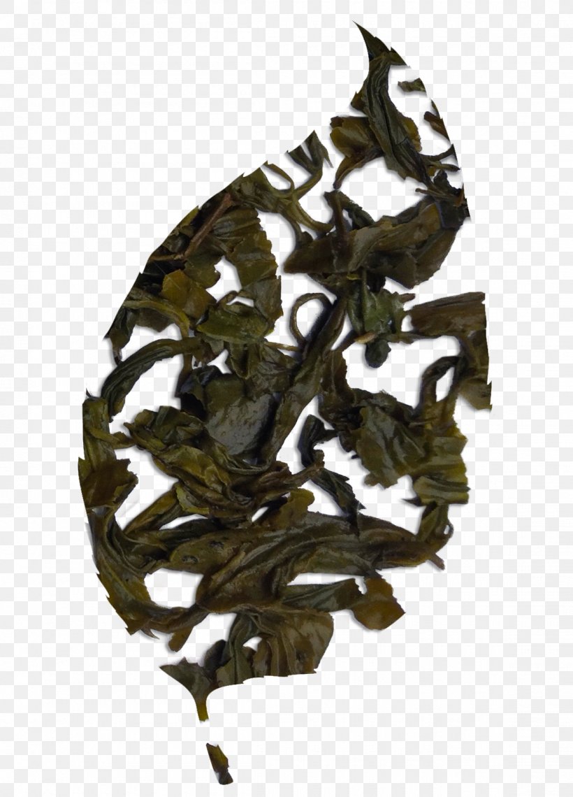 Da Hong Pao Tieguanyin Oolong Dianhong Bai Mudan, PNG, 1150x1600px, Da Hong Pao, Bai Mudan, Camouflage, Dianhong, Leaf Download Free