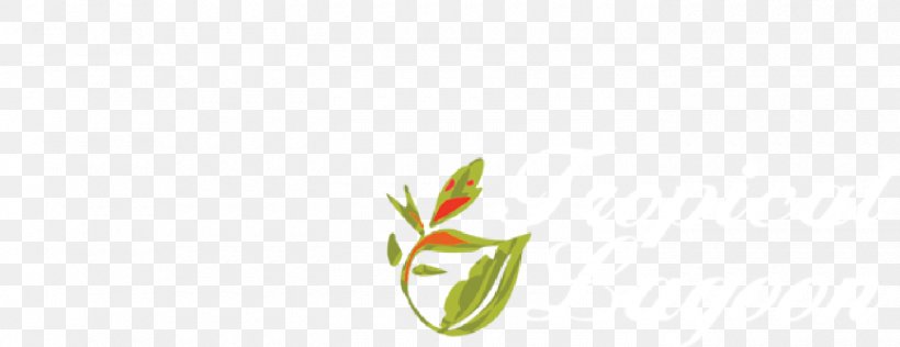 Petal Desktop Wallpaper Plant Stem Bud Leaf, PNG, 1400x540px, Petal, Branch, Bud, Close Up, Closeup Download Free