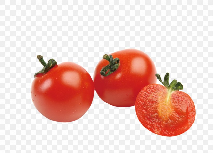 Cherry Tomato Plum Tomato Vegetarian Cuisine Food, PNG, 876x631px, Cherry Tomato, Auglis, Bush Tomato, Cherry, Cooking Download Free