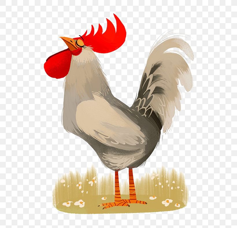 Chicken Rooster Illustrator Poster Illustration, PNG, 564x789px, Chicken, Art, Beak, Bird, Cartoon Download Free
