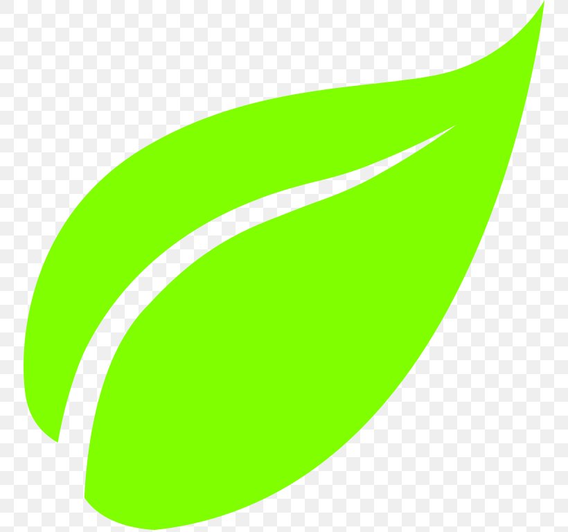 Green Tea Leaf, PNG, 752x768px, Tea, Camellia Sinensis, Computer Software, Grass, Green Download Free