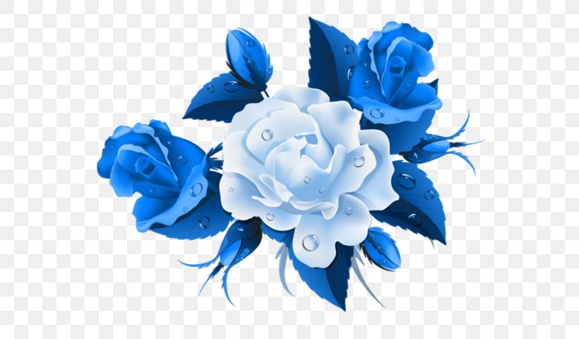 International Women's Day Greeting & Note Cards Flower Bouquet, PNG, 590x480px, International Women S Day, Blue, Blue Rose, Cut Flowers, Electric Blue Download Free