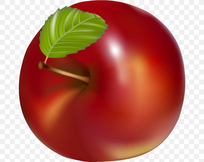 Peach Natural Foods Tomato Plum, PNG, 670x652px, Peach, Apple, Food, Fruit, Local Food Download Free